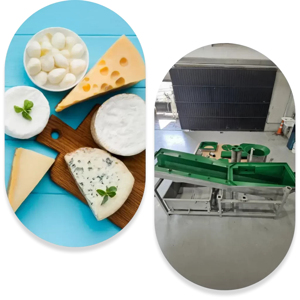 INDÚSTRIA DE LATICÍNIOS